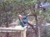 Foto de Instituto shiao kung fu