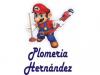 Foto de Servicios plomeria y electricidad hernandez
