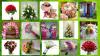 Foto de Arreglos Florales  Orquidea