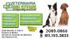 Foto de Veterinaria  holsteins