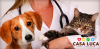 Foto de Casa luca animal care center