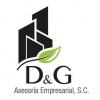 Foto de D&G Asesora Empresarial S.C.