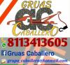 Foto de Gruas Caballero
